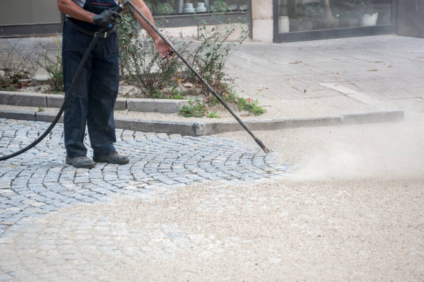 Best Pre-Holiday Cleaning  in Sandy Oaks, TX