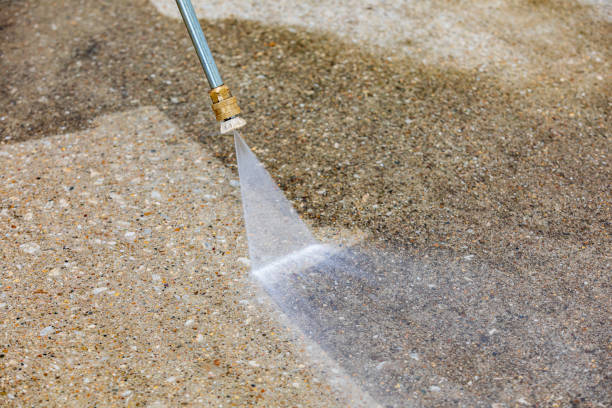 Best Solar Panel Cleaning  in Sandy Oaks, TX